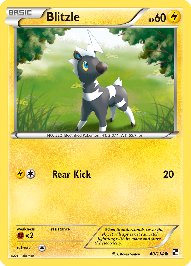 Blitzle – Black & White 40/114 Pokémon card