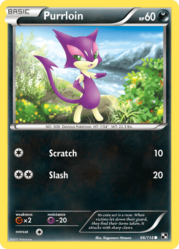Purrloin - Black & White 66