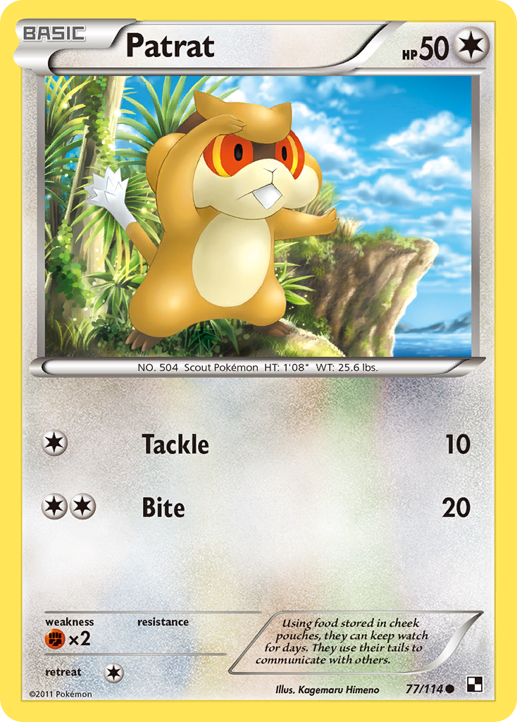Patrat – Black & White 77/114 Pokémon card