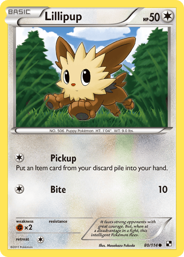 Lillipup - Black & White 80