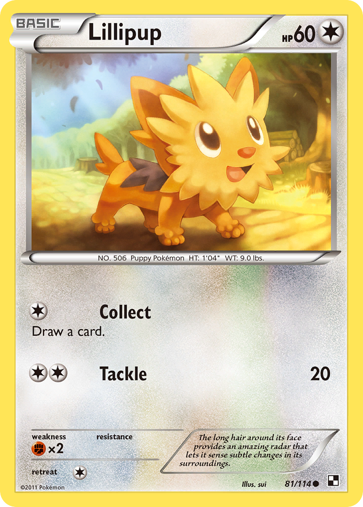 Lillipup – Black & White 81/114 Pokémon card