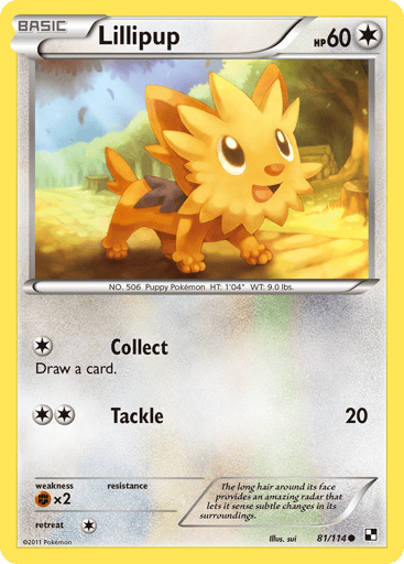 Lillipup - Black & White 81