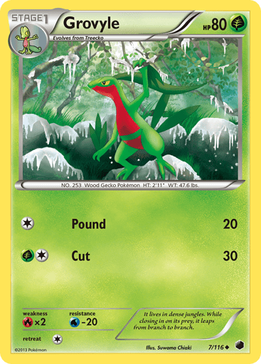 Grovyle - Plasma Freeze 7