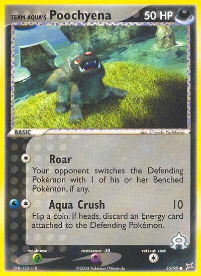 Team Aqua's Poochyena – Team Magma vs Team Aqua 55/95 Pokémon card
