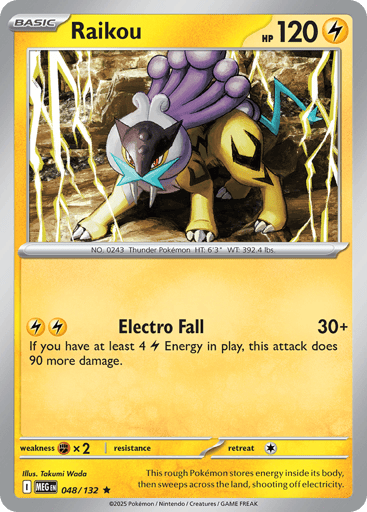 Raikou - Mega Evolution 48