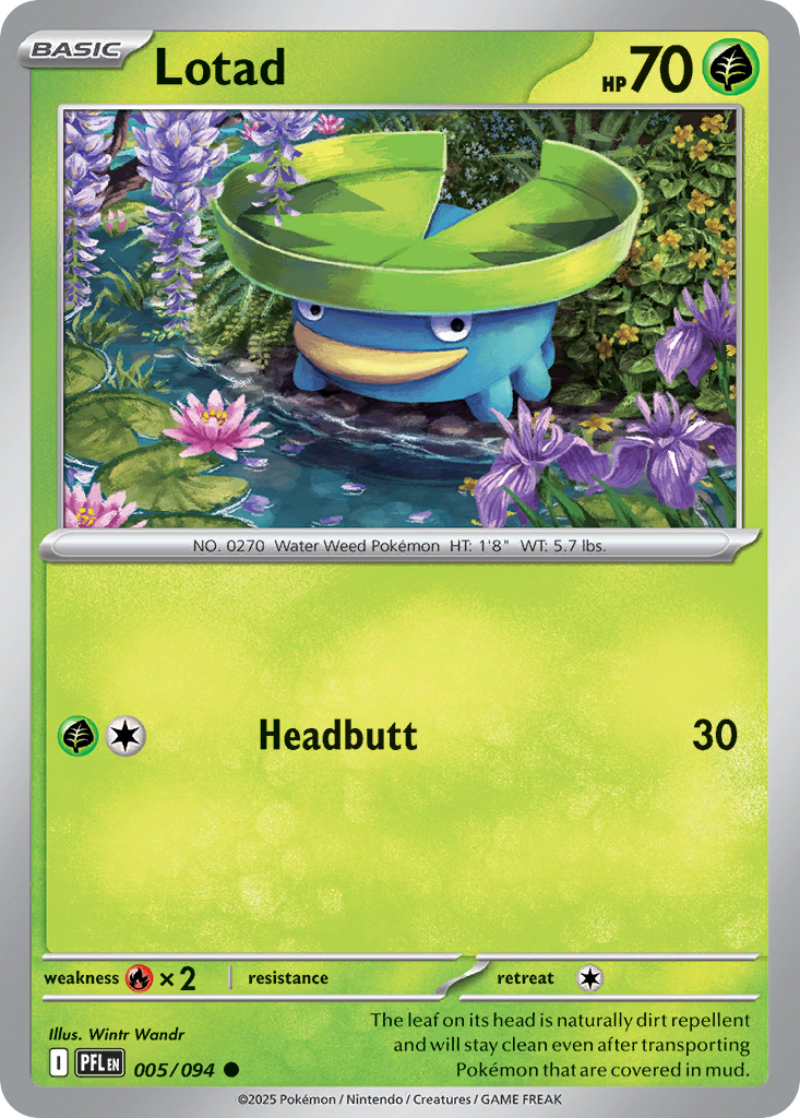 Lotad – Phantasmal Flames 005/094 Pokémon card