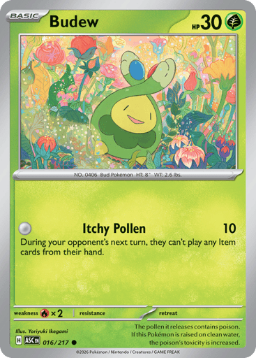Budew - Ascended Heroes 16
