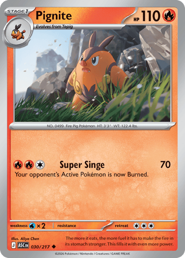 Pignite - Ascended Heroes 30