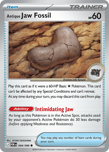 Antique Jaw Fossil - Perfect Order 68
