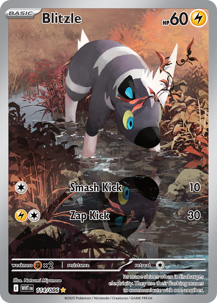 Blitzle – White Flare 114/086 Pokémon card