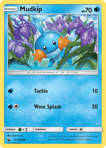 Mudkip - Celestial Storm 33