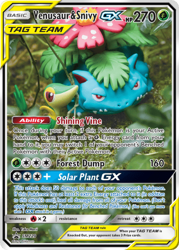 Venusaur & Snivy-GX - SM Black Star Promos SM229