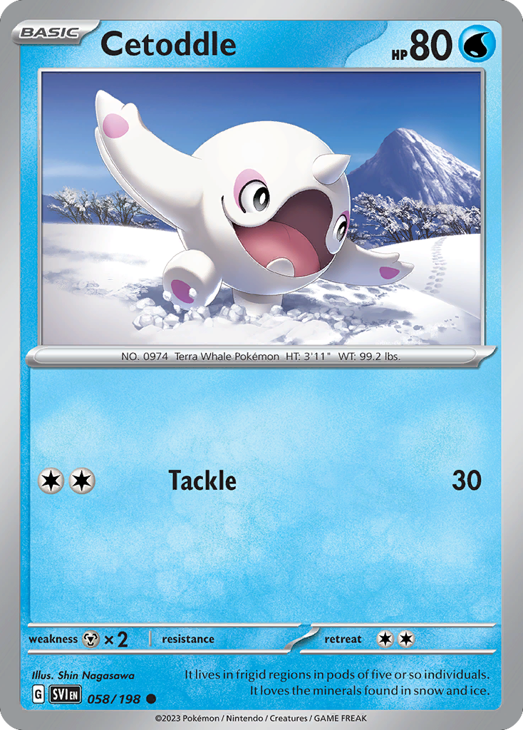 Cetoddle – Scarlet & Violet 058/198 Pokémon card