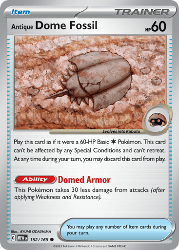 Antique Dome Fossil - 151 152