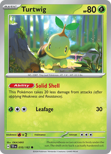 Turtwig - Temporal Forces 10