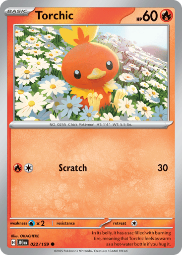 Torchic - Journey Together 22