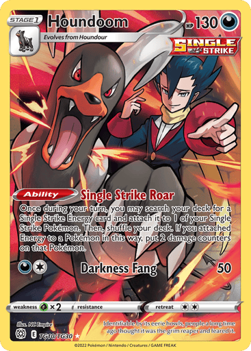 Houndoom - Brilliant Stars Trainer Gallery TG10