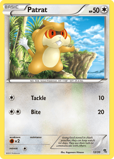Patrat - BW Trainer Kit Zoroark 12