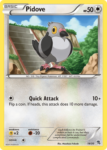 Pidove - BW Trainer Kit Zoroark 14