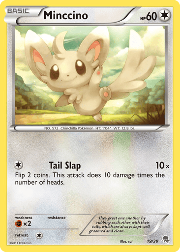 Minccino - BW Trainer Kit Zoroark 19