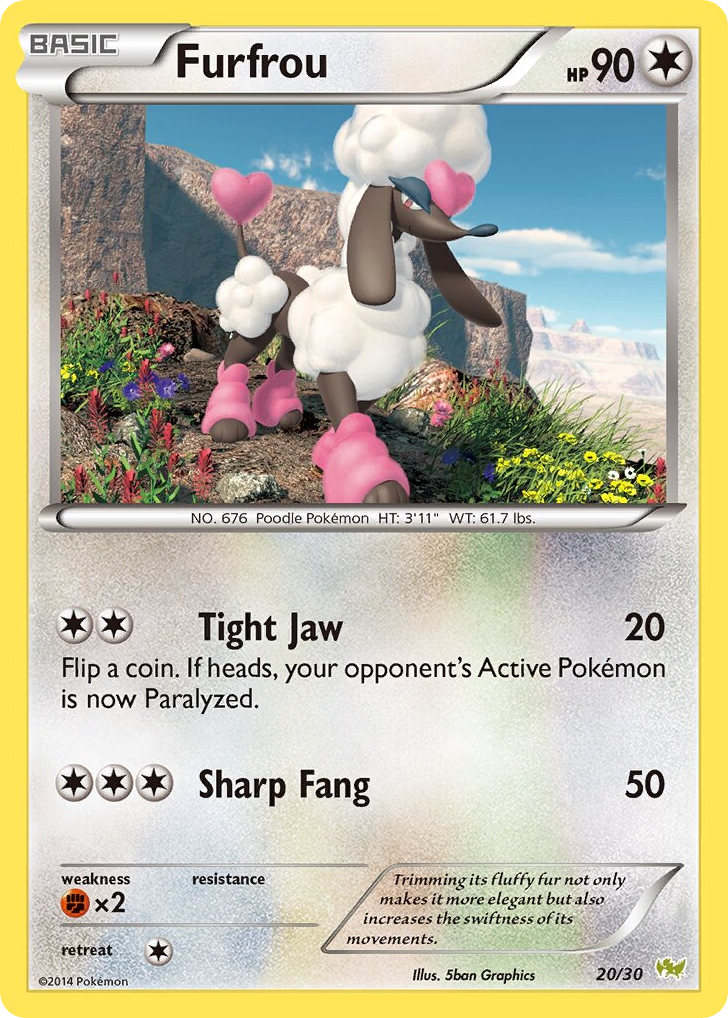 Furfrou – XY Trainer Kit Noivern 20/30 Pokémon card
