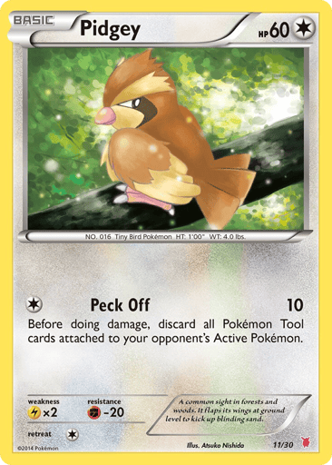 Pidgey - XY Trainer Kit Wigglytuff 11