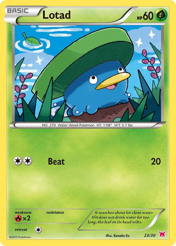 Lotad – XY Trainer Kit Latias 23/30 Pokémon card