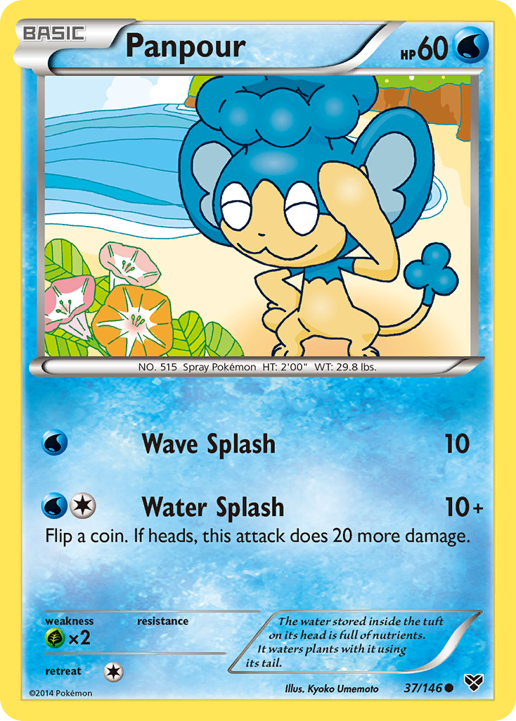 Panpour – XY 37/146 Pokémon card