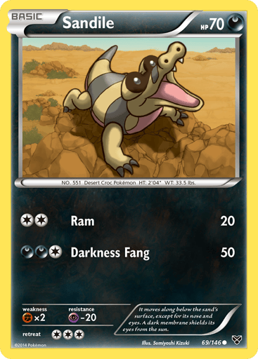 Sandile - XY 69