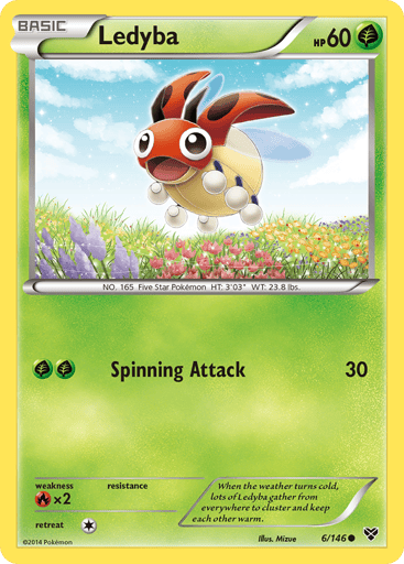 Ledyba - XY 6