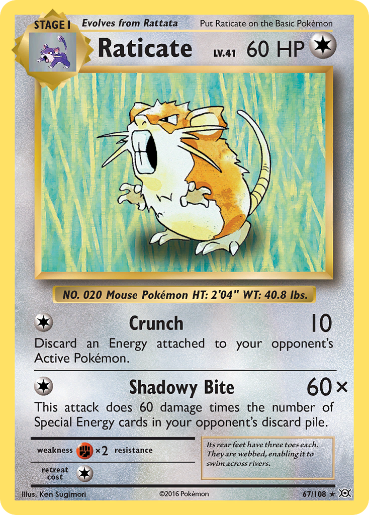 Raticate – Evolutions 67/108 Pokémon card
