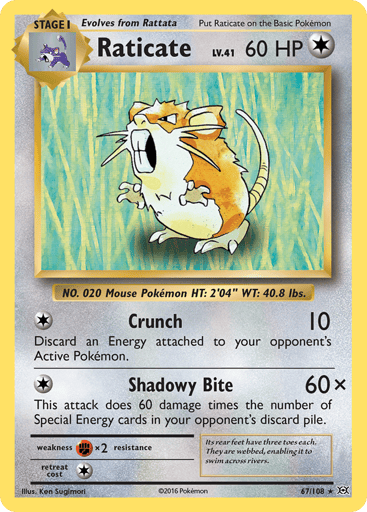 Raticate - Evolutions 67