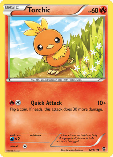 Torchic - Furious Fists 12