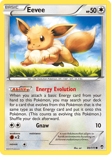 Eevee - Furious Fists 80