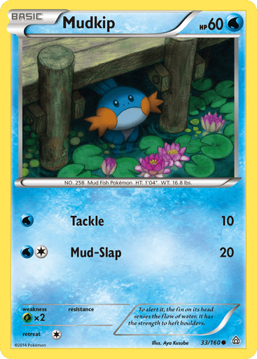 Mudkip - Primal Clash 33