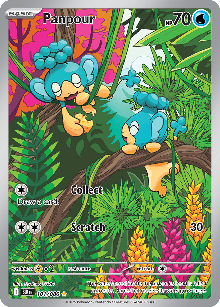 Panpour – Black Bolt 101/086 Pokémon card