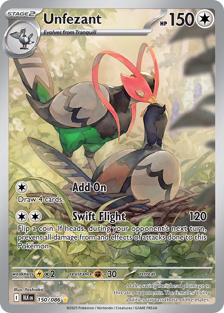 Unfezant – Black Bolt 150/086 Pokémon card