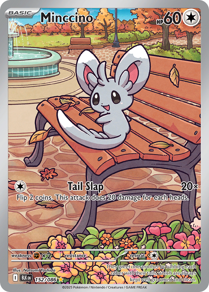Minccino – Black Bolt 152/086 Pokémon card