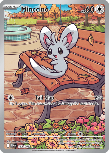 Minccino - Black Bolt 152
