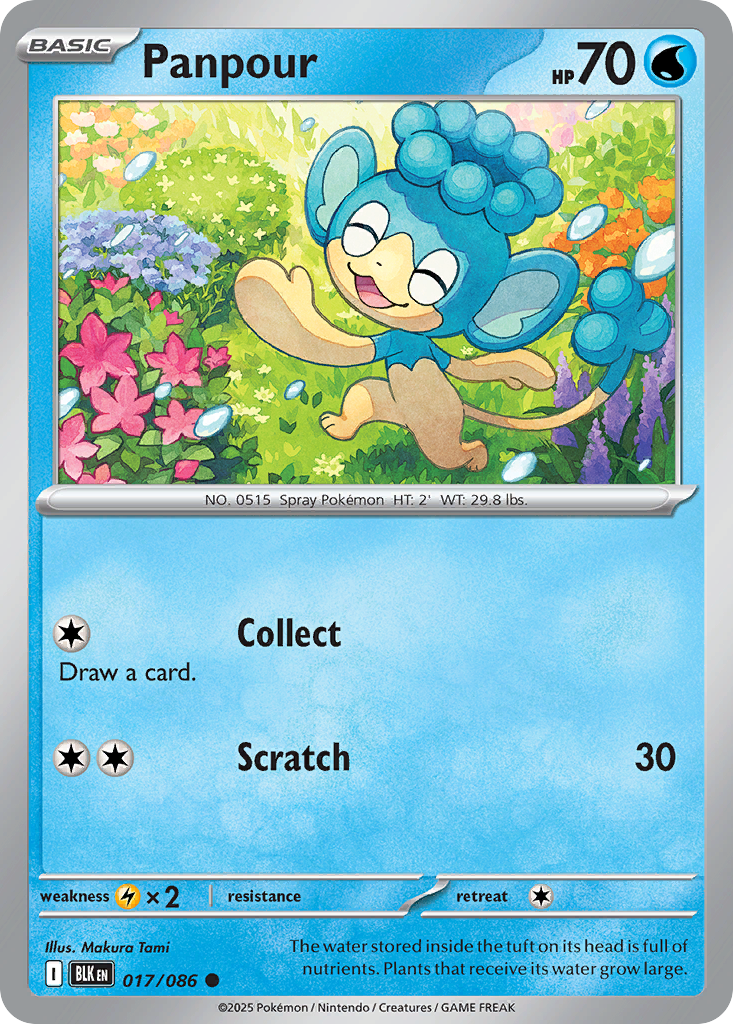 Panpour – Black Bolt 017/086 Pokémon card