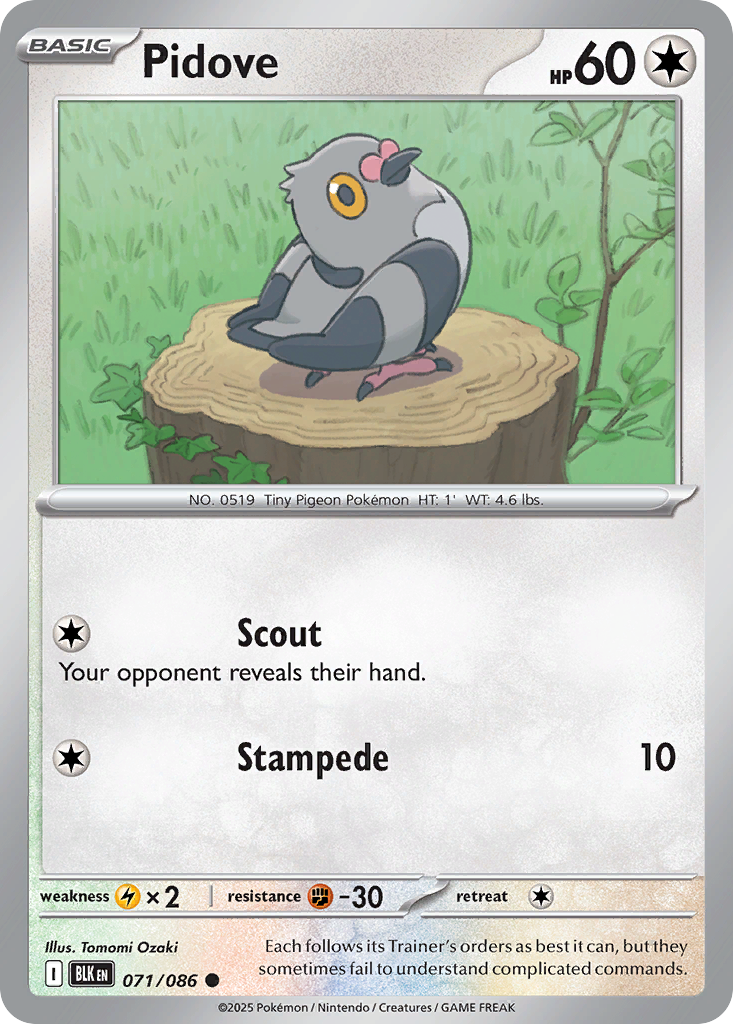 Pidove – Black Bolt 071/086 Pokémon card