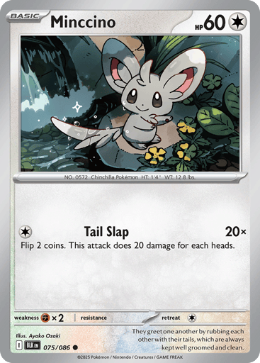 Minccino - Black Bolt 75