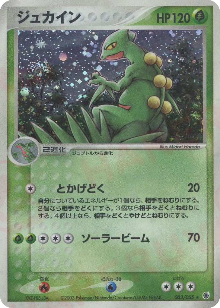 Sceptile – ADV Expansion Pack 003/055 Pokémon card