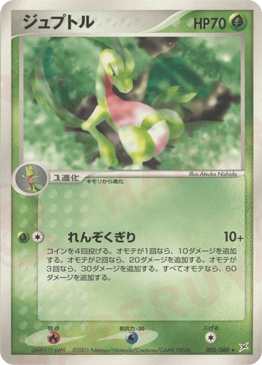 Grovyle - Magma vs Aqua: Two Ambitions 5