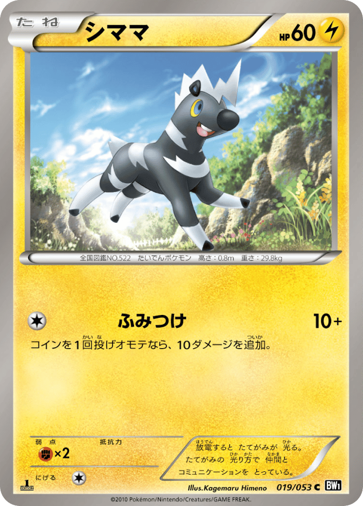 Blitzle – Black Collection 019/053 Pokémon card