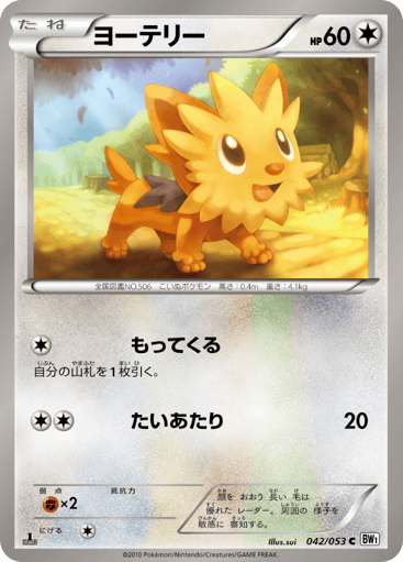 Lillipup - White Collection 42