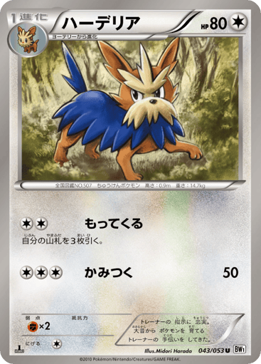 Herdier - White Collection 43