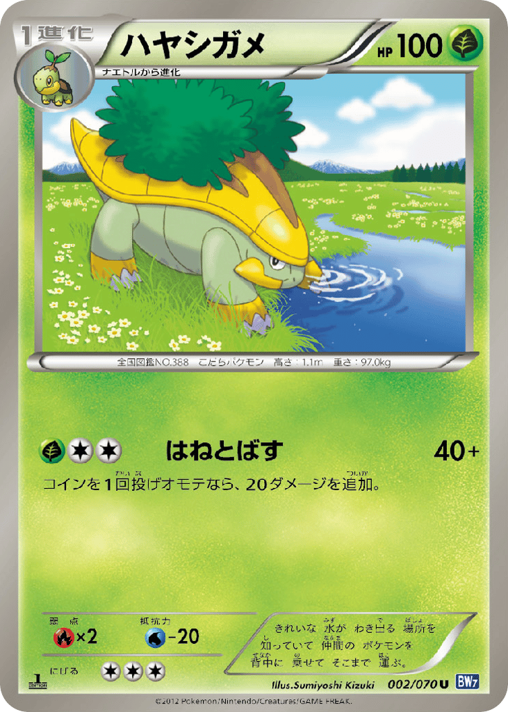 Grotle – Plasma Gale 002/070 Pokémon card