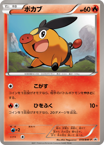 Tepig - Black & White Promos 19