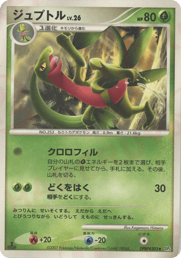 Grovyle - Dawn Dash 303